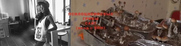 бошки Алексеевка