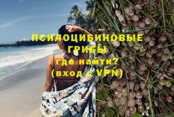 каннабис Весьегонск