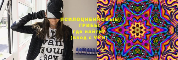 a pvp Алзамай