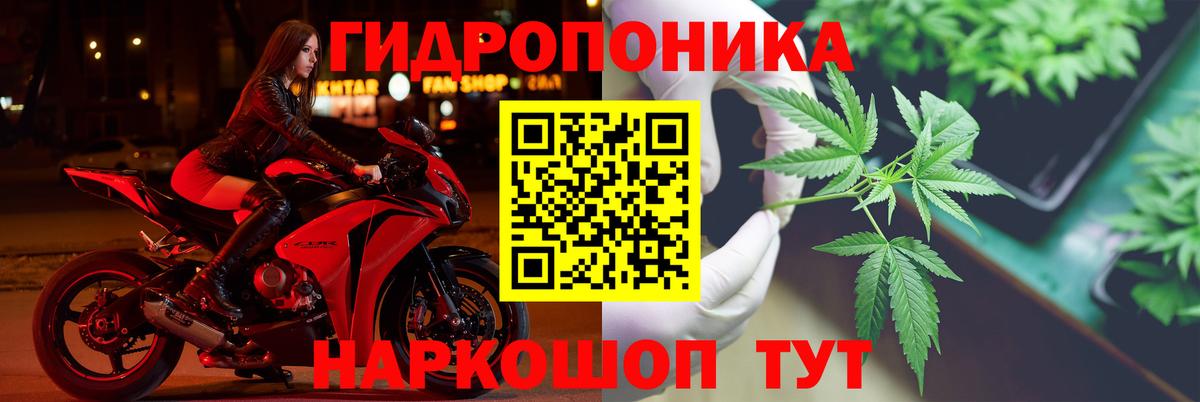 Шишки марихуана тримм  Шишки марихуана White Widow  Вход с VPN  Конопля планчик  Переславль-Залесский  Каннабис тримм 